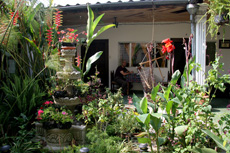 Click to enlarge