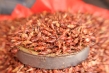 720px-chapulines.jpg