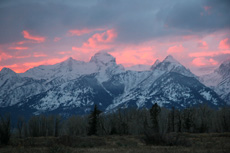 pink-tetons