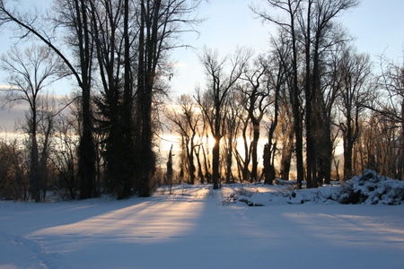 Cabin View